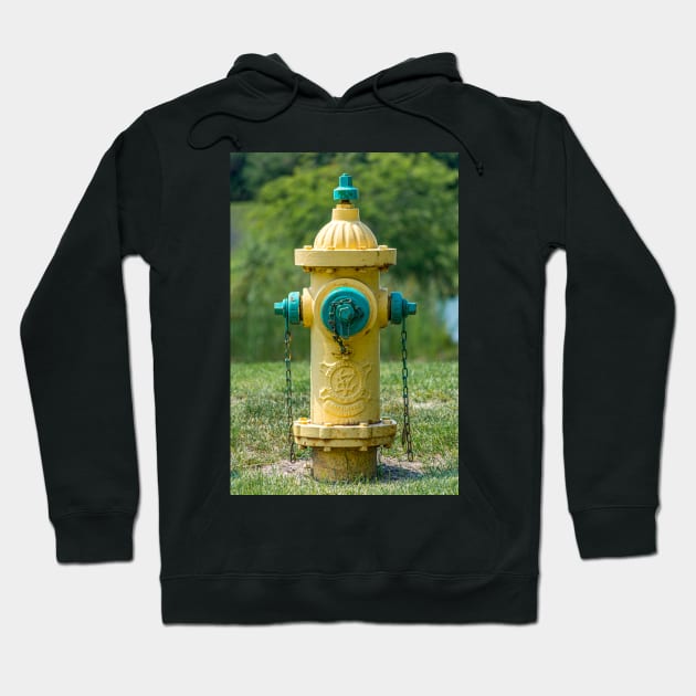 Yellow and Green Eddy Hydrant Hoodie by Enzwell